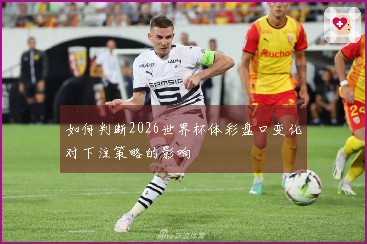 如何判断2026世界杯体彩盘口变化对下注策略的影响
