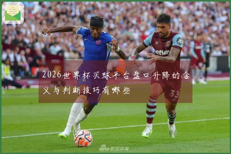 2026世界杯买球平台盘口升降的含义与判断技巧有哪些